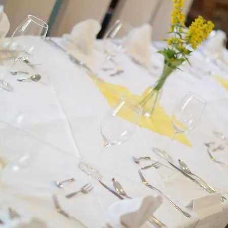 ホテル Eisenerzer Hof 3*