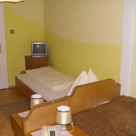 ホテル Eisenerzer Hof 3*